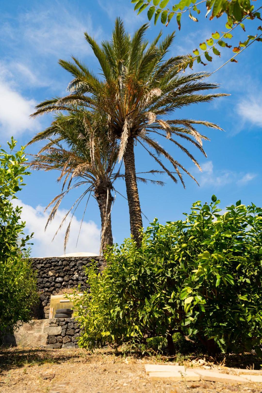 Casa Unifamiliare A Sicilia Vila Kamma Exterior foto